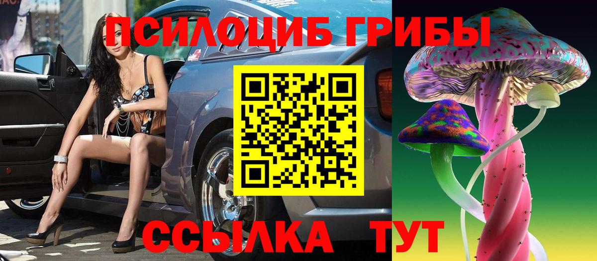 Псилоцибиновые грибы GOLDEN TEACHER Кушва
